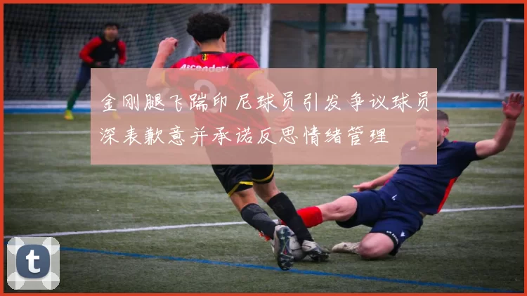 金刚腿飞踹印尼球员引发争议球员深表歉意并承诺反思情绪管理
